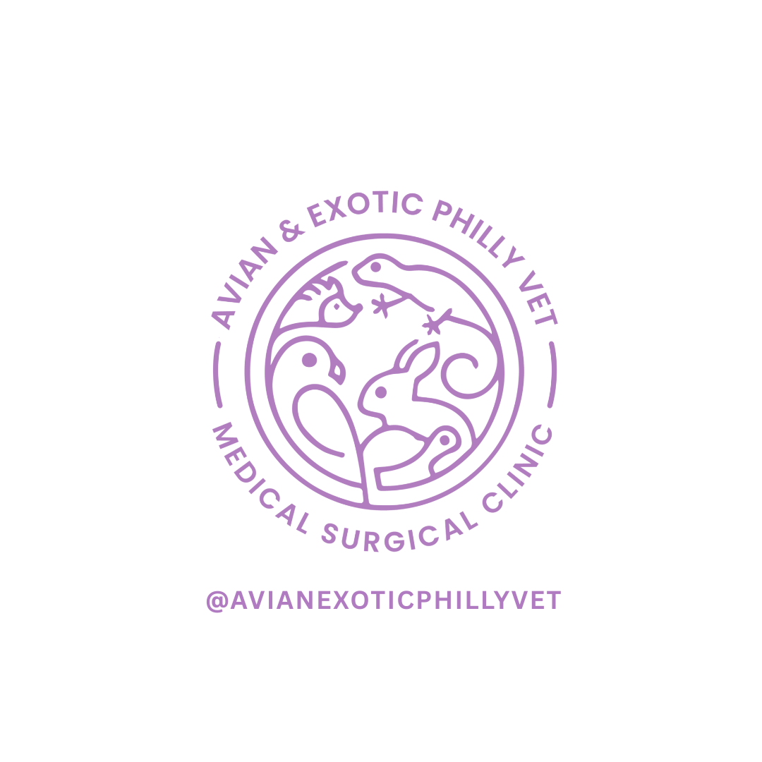 Avian & Exotic Philly Vet Medical Surgical Clinic logo featuring various animal outlines