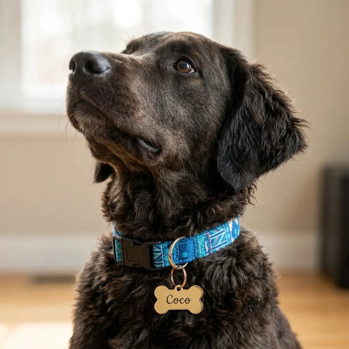 Engraved pet ID tag with the Center City design by Winks Design Studio, LLC, featuring a detailed cityscape engraving on a metal tag.