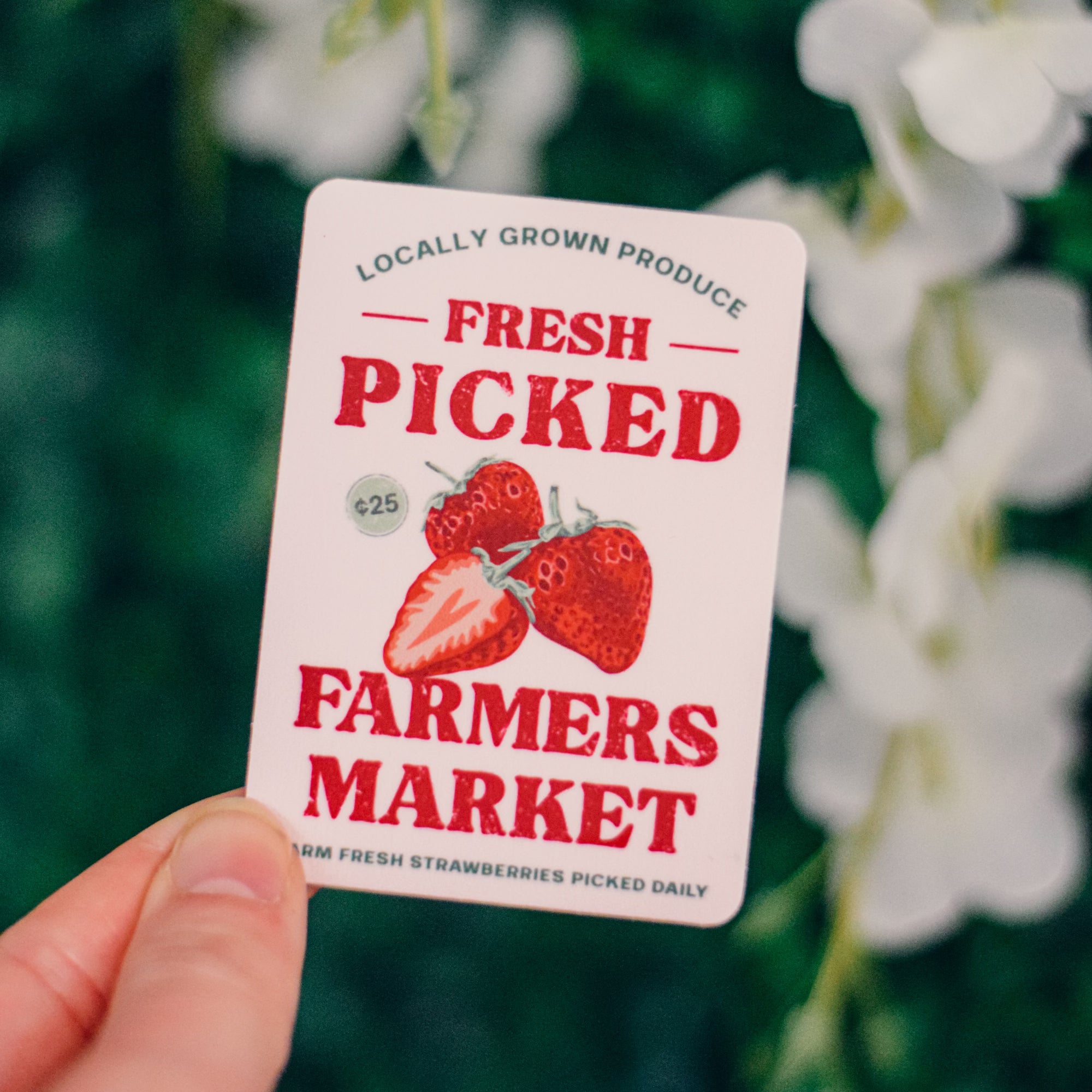 Farmers Market Fresh Picked Strawberry Sticker - Winks Design Studio,LLC