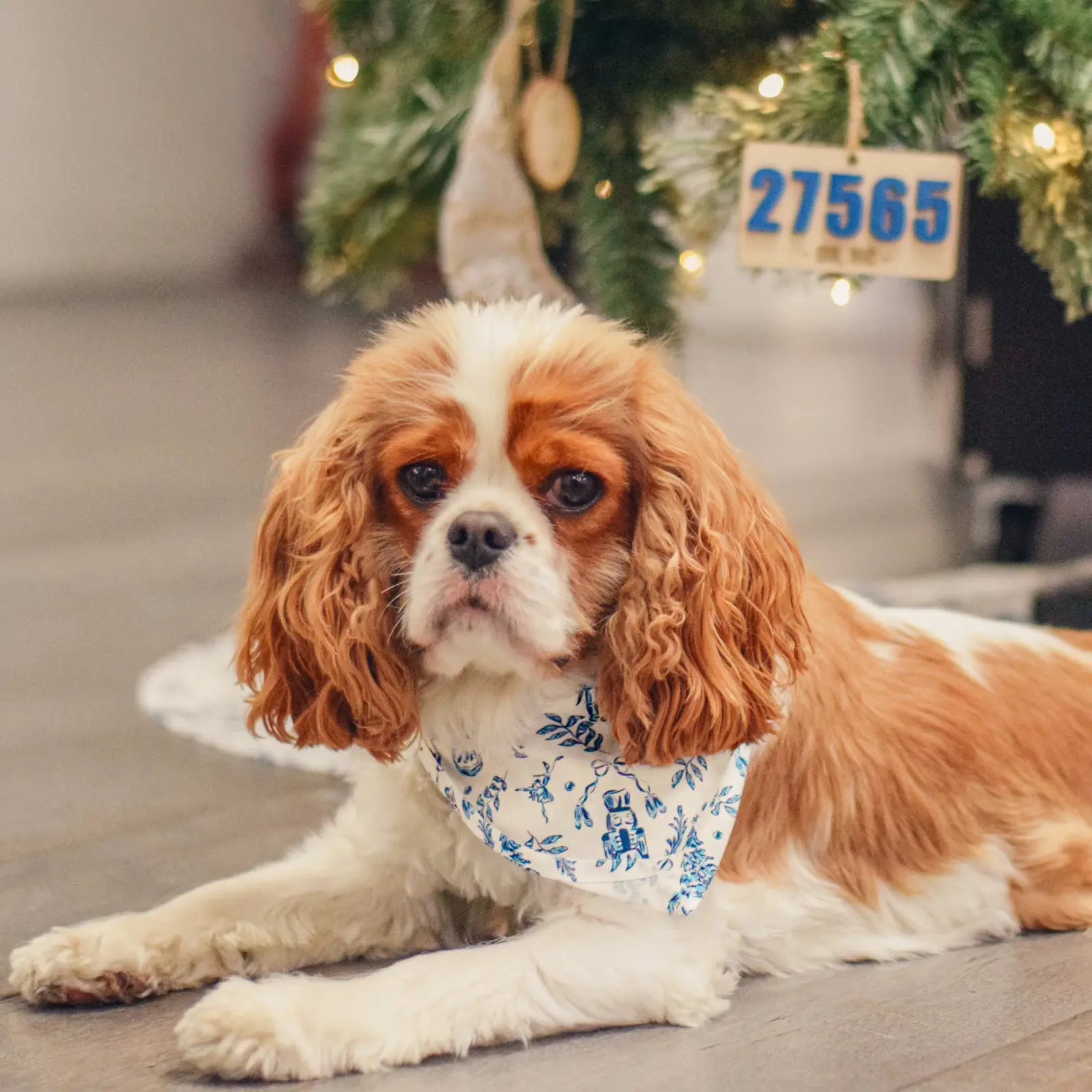 Winks Design Studio LLC Nutcracker dog bandana featuring festive red and green patterns on soft fabric for pets