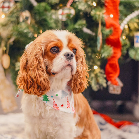 Christmas Tree Dog Bandana - Winks Design Studio,LLC