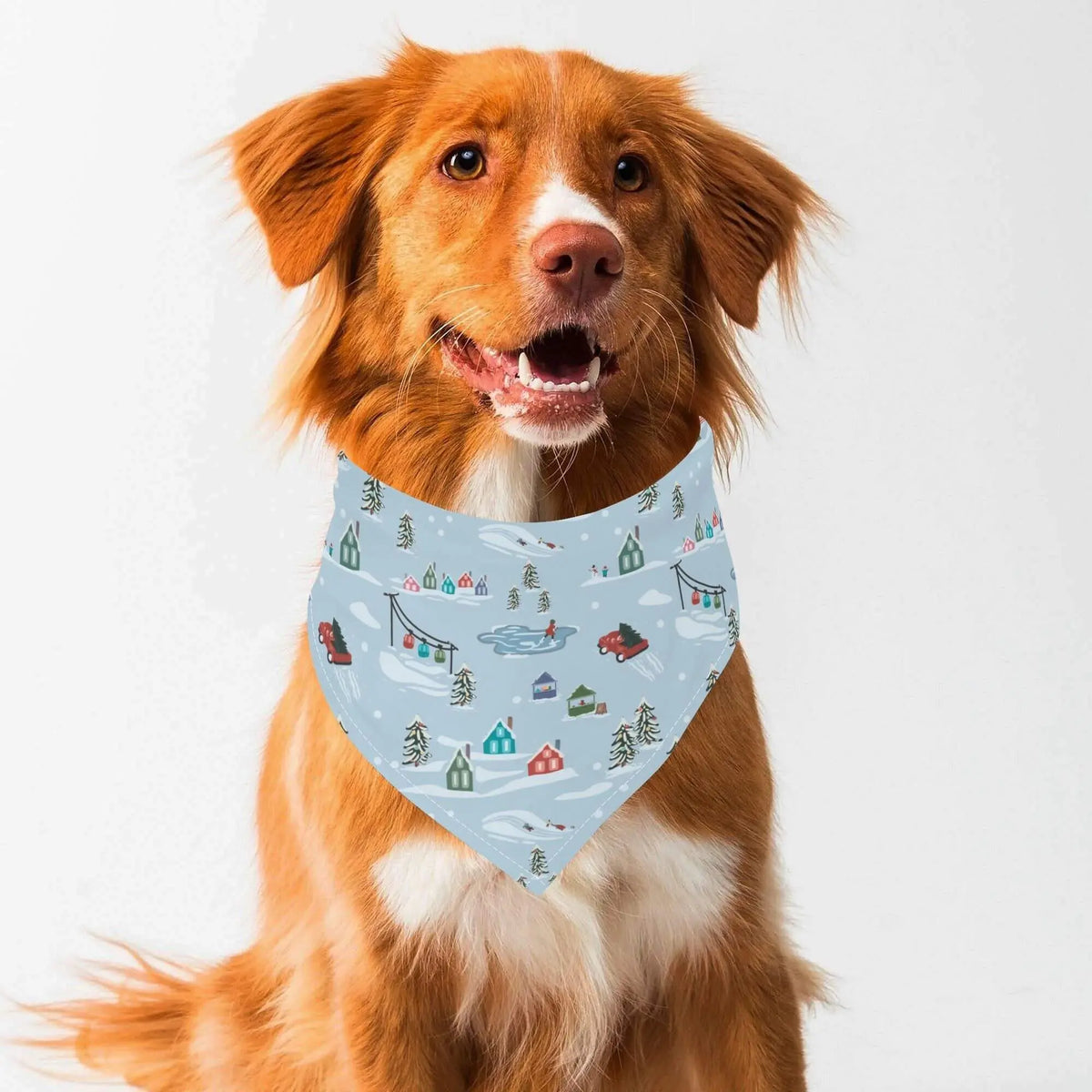 Dog wearing a Christmas Village bandana by Winks Design Studio, LLC, showcasing festive holiday-themed dog accessories.