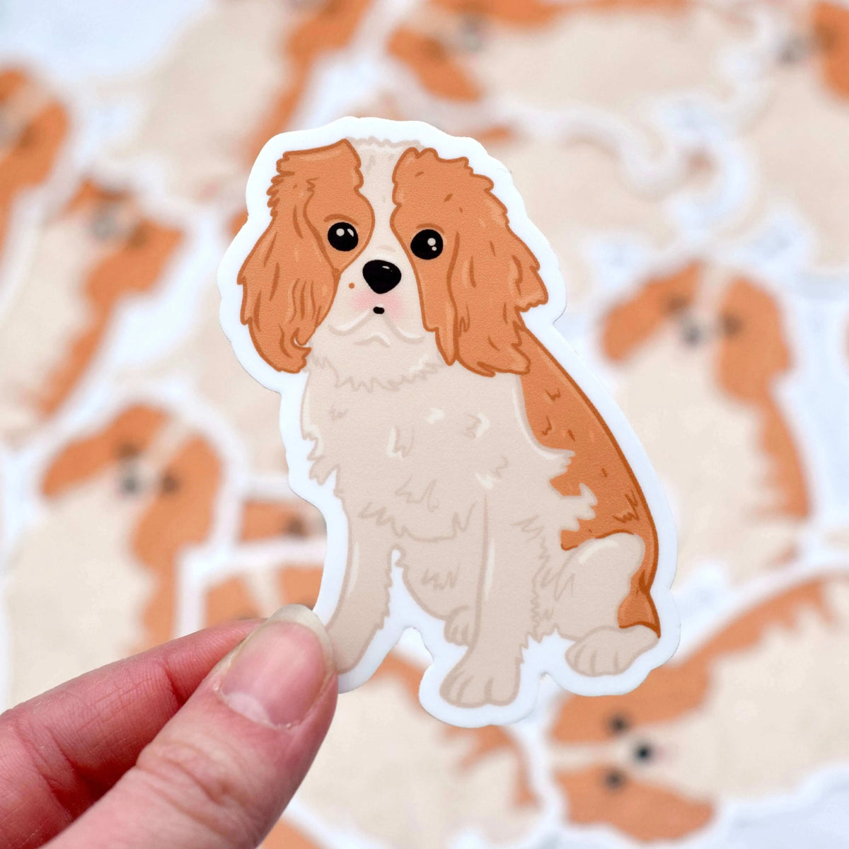 King Charles Cavalier vinyl sticker from Winks Design Studio showing a detailed illustration of the dog on a transparent background.
