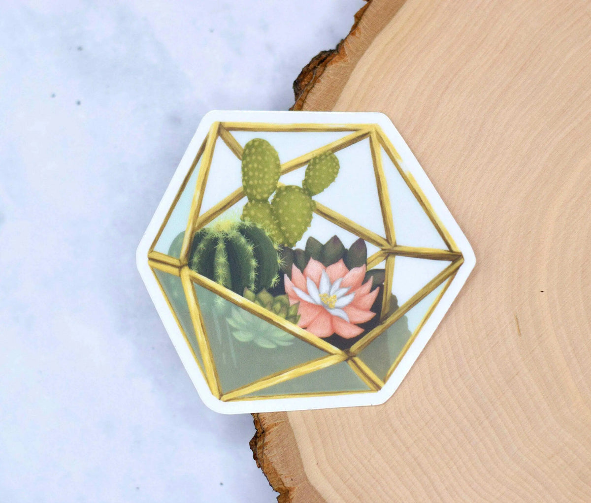 Vinyl succulent terrarium sticker featuring a detailed, vibrant illustration of a small glass terrarium with lush succulents.