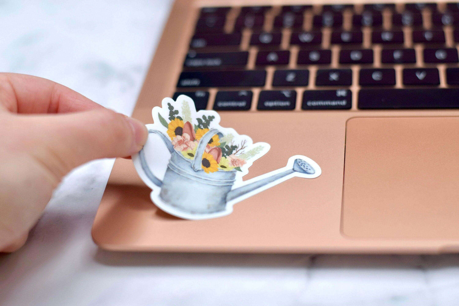 Vintage Watering Can Stickers - Winks Design Studio,LLC