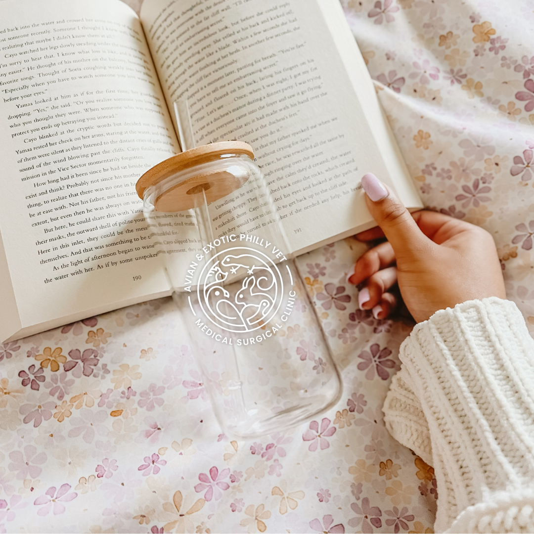 Vidrio esmerilado exótico aviar con tapa de bambú y pajita