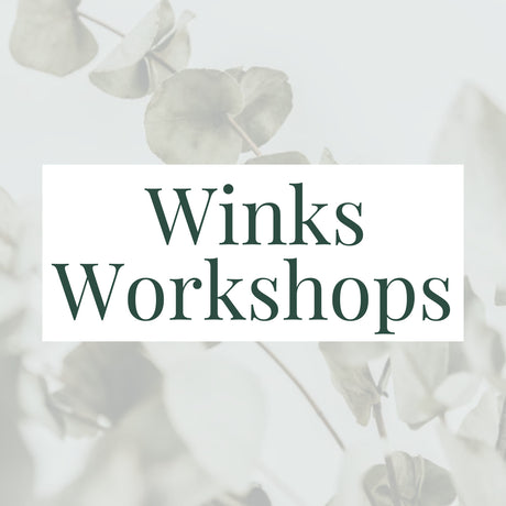 Winks Workshops Graphic