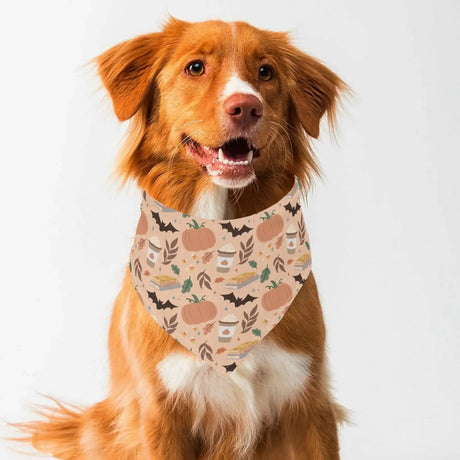 Dog wearing Pumpkin Patch Fall-Themed Bandana with autumn-inspired design featuring pumpkins and fall foliage.