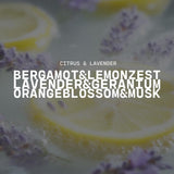 Milkhouse Candle 16oz Butter Jar Candle: Citrus & Lavender