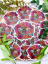 Bee on Flowers Vinyl Sticker - Winks Design Studio,LLC