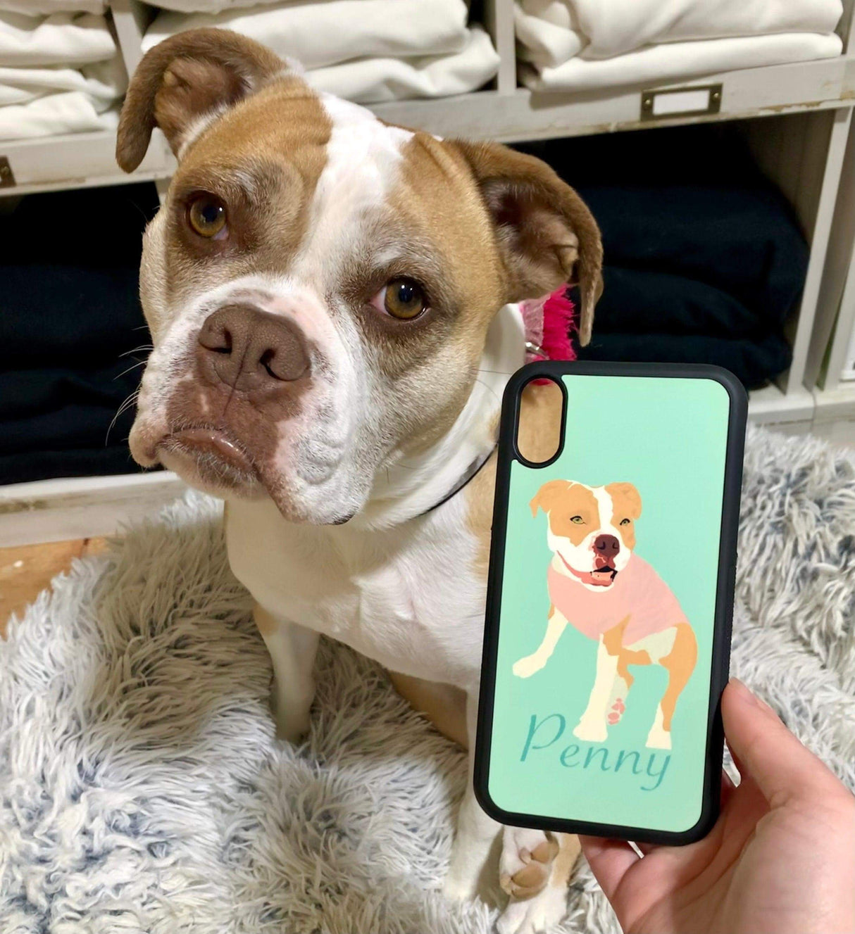 Custom Pet Phone Case, Pet Portrait, Personalized Pet Portrait Phone Case, Gift For Dog Lovers, Iphone Case, Pet Painting, Photo Phone case - Winks Design Studio,LLC