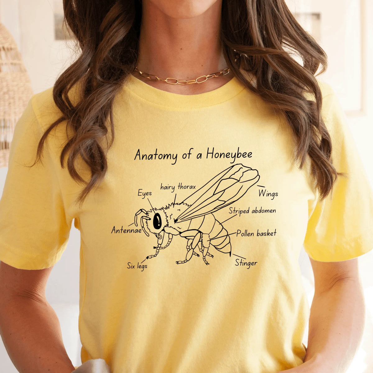 Winks Design Studio LLC SCBA Anatomy of a Honeybee T-shirt showing detailed honeybee anatomy graphic on black fabric
