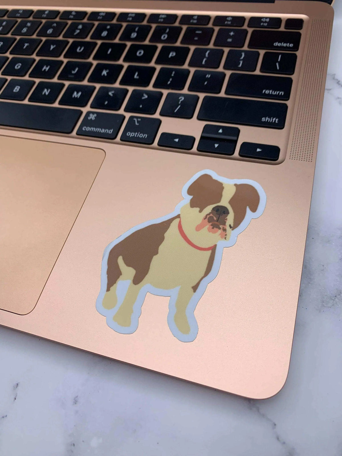 Dog-themed Bulldog Vinyl Sticker by Winks Design Studio, LLC featuring a detailed bulldog design on durable vinyl material.