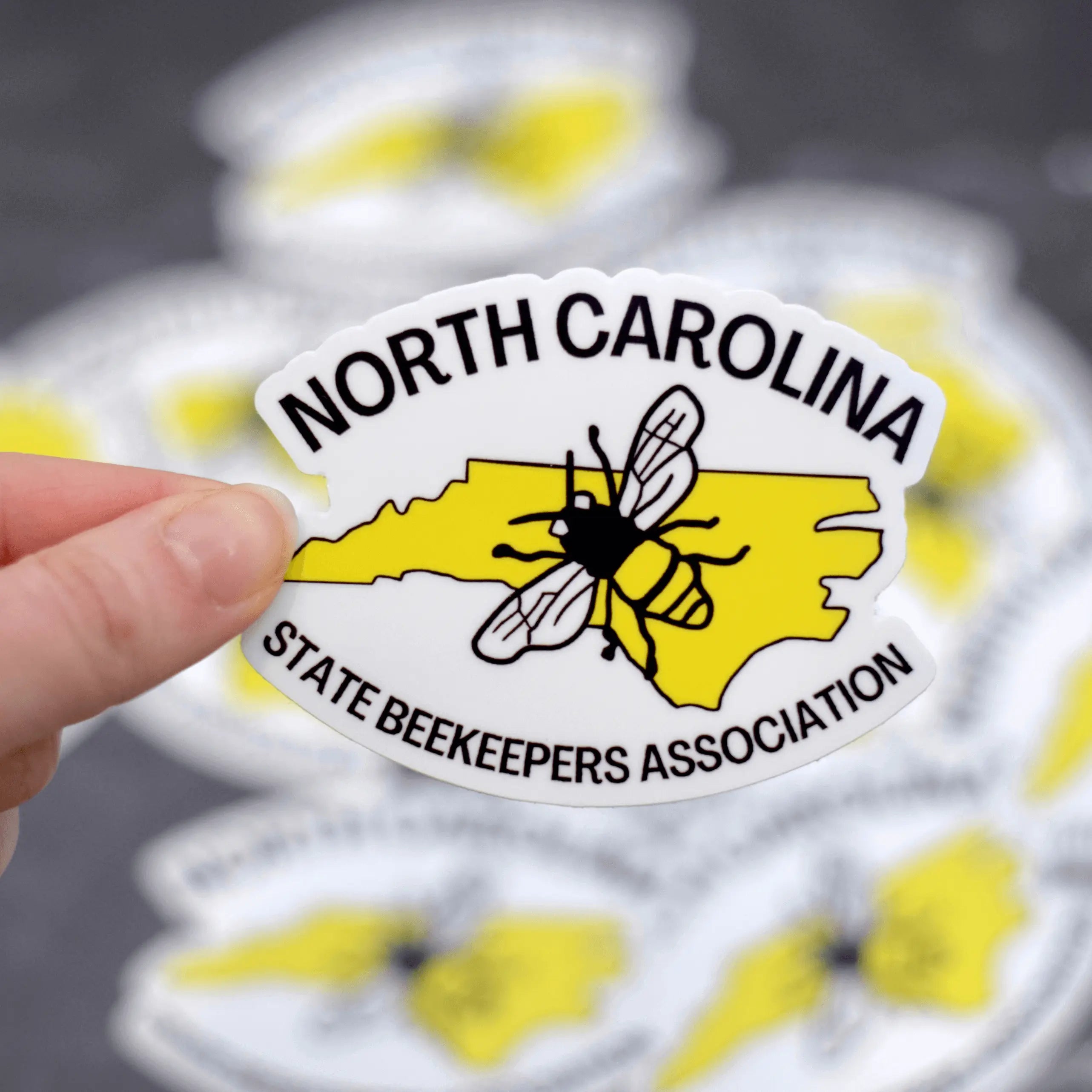 Winks Design Studio LLC NCSBA vinyl sticker featuring colorful, durable adhesive sticker with bold NCSBA lettering and design.