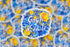 Starry Night Sticker, Gogh With It, 3.5x3.5 in. - Winks Design Studio,LLC